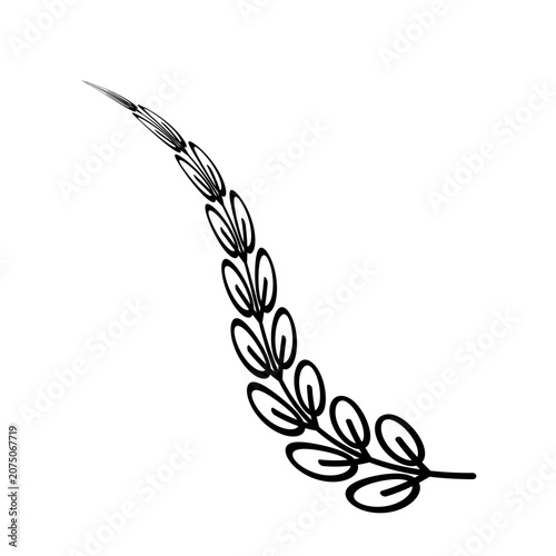 Flower Border