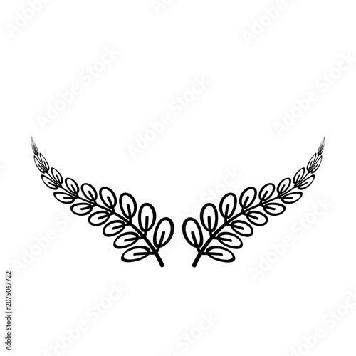 Flower Border