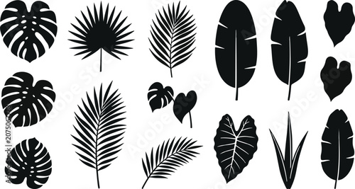 Large Banana Leaf and Tropical Fan Palm Silhouette Vector Pack Exotic Jungle Flora Decorative Elements