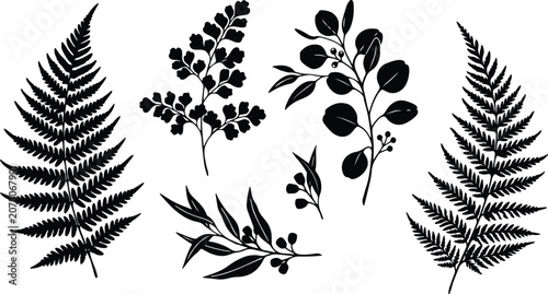 Elegant Eucalyptus and Fern Botanical Leaves Silhouette Vector Pack Delicate Garden Plant Foliage Elements