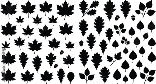Autumn Maple and Oak Leaves Silhouette Vector Pattern Fall Season Forest Tree Foliage Background Graphic Set