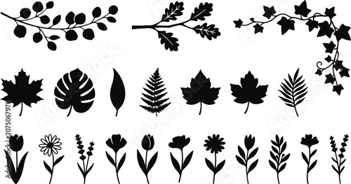 Minimalist Tree Branch and Twig Leaves Silhouette Vector Set Botanical Forest Plant Stems Graphic Design Elements