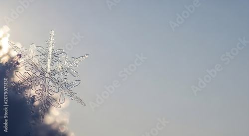 Macro photograph of a delicate snowflake crystal against a soft, blurred background with subtle lighting