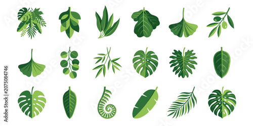 Green exotic leaves set botanical foliage design elements