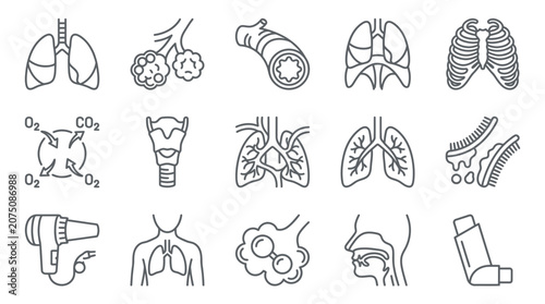 Obraz na plátně Human Respiratory System Anatomy.
