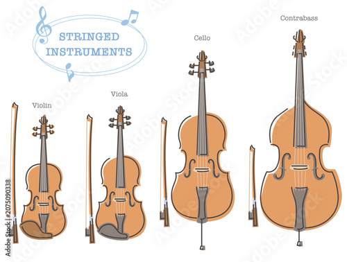 Collection of strings instruments, violin, viola, cello, double bass. Vector illustration in line drawing, isolated on white background.
