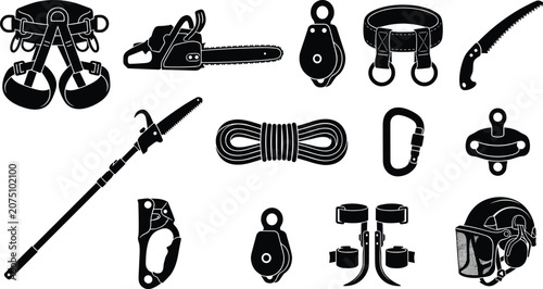 Tableau sur toile Professional arborist tree climbing lumberjack forestry work safety rigging chai