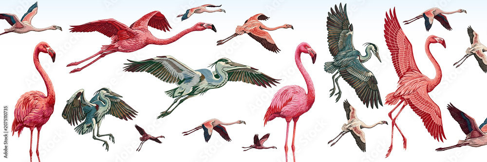 Obraz premium Pink flamingo, heron, crane, fly, flock, instinct, stamp, engraving, impression