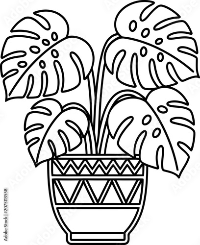 Monstera plant in decorative pot, line art illustration