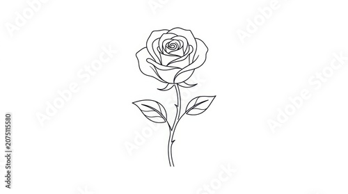 Minimalist rose line art illustration, elegant black and white floral sketch, single blooming rose flower with stem and leaves on white background