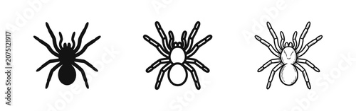 Foto Set of three spider icons in different styles: solid silhouette, outline, and sk