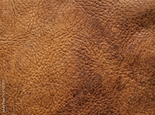 Close-up of richly textured brown leather surface.