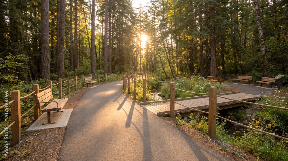 Naklejka premium accessible nature trail smooth path benches tactile signs inclusive wide smooth nature trail with rest benches and tactile information signs supporting inclusive outdoor recreation with distinct