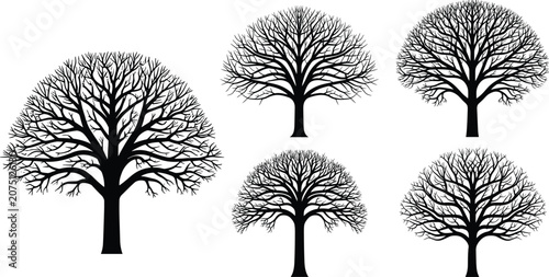 Bild auf Leinwand Black silhouette illustration of five leafless trees with intricate branches—ideal for nature design, tree morphology, and artistic or seasonal projects