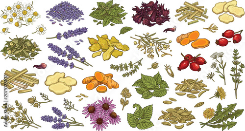 Photos Comprehensive mega bundle of dried medicinal herbs roots and botanical flowers v