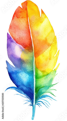 Vibrant watercolor feather showcasing spectrum of colors, symbolizing diversity and creativity, Isolated cutout on a transparent background