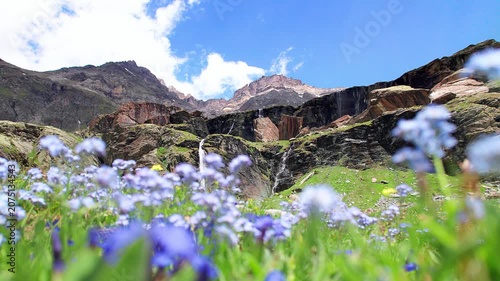 Alps landscape with waterfalls and flowering meadow,  Valmalenco panorama, Italy