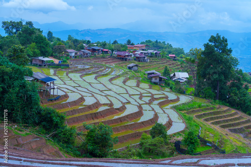 Rice terrace field with small houses on hillside under cloudy sky in rural area