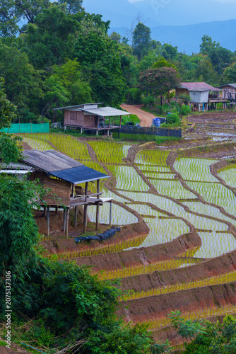 Rice terrace field with wooden houses and lush green forest in rural mountain area under blue sky