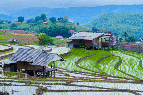 Rice terrace field with wooden houses on hillside and mountain background in rural area