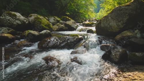 Flowing Mountain Stream Over Rocks in Lush Green Forest