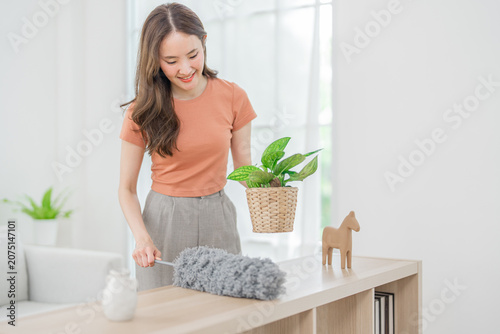 Woman cleaning duster home plant shelf smiling indoor living room housework, young woman cleaning wooden shelf with gray duster near potted plant bright modern interior, cheerful domestic chore