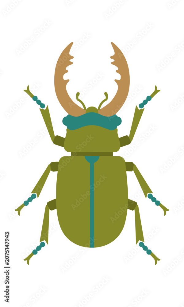 Fototapeta premium Symmetrical stylized stag beetle with bold flat shapes in teal tan and olive green isolated on white minimal nature design