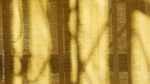 Elegant shadows fall over textured bamboo blinds in a sunlit room. This close-up creates a warm, dreamlike feeling of quiet comfort. The natural fibers glow with a serene and peaceful energy.