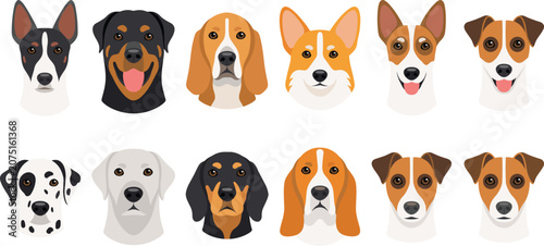 Obraz na płótnie Cute dog breeds faces avatar icon set including rottweiler corgi dalmatian beagl
