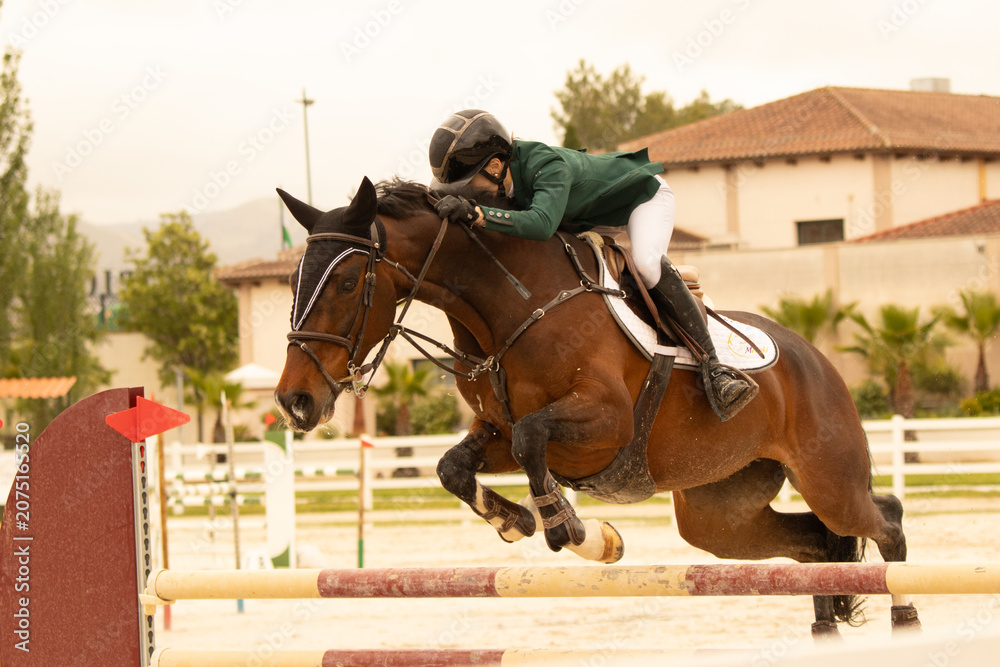 Obraz premium jumping horse