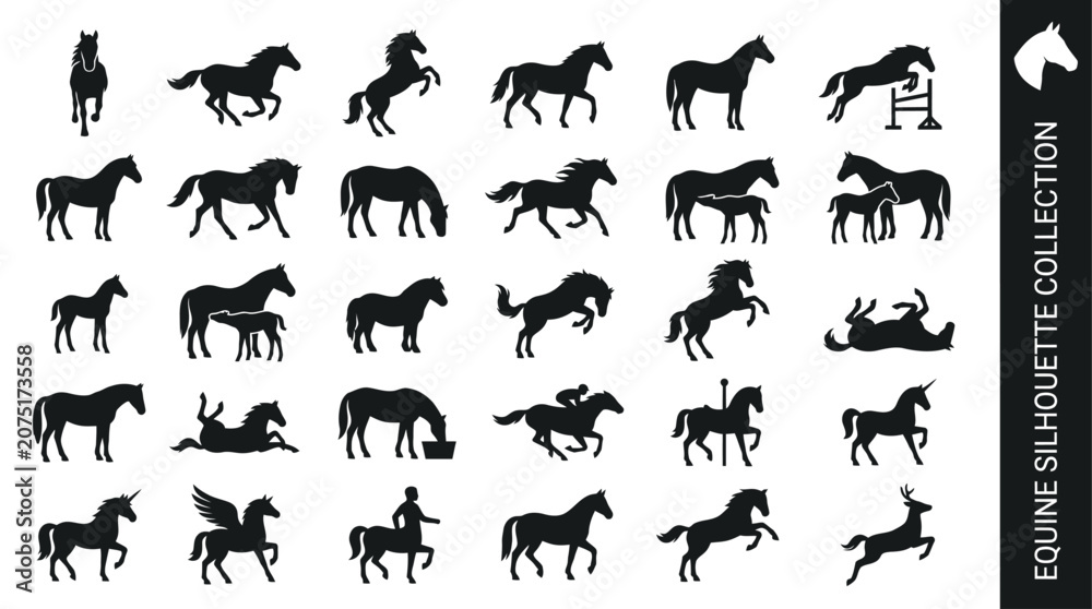 Fototapeta premium Professional equine silhouette collection featuring horses, mares, foals, and mythical creatures in diverse poses for creative graphic design projects