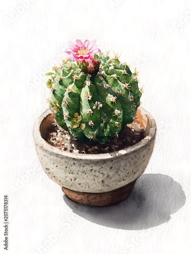 Cactus bloom watercolor painting in a simple pot, casting a gentle shadow on the white surface.