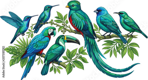 Fotografie Tropical Exotic Birds Collection with Resplendent Quetzal Macaw Toucan and Hummi