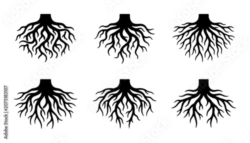Bild auf Leinwand Six Black Tree Root Icons, Deep Foundation Symbols, Organic Network Graphics, Pl