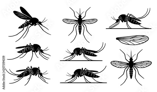 Foto Mosquito Silhouette Vector Collection EPS10