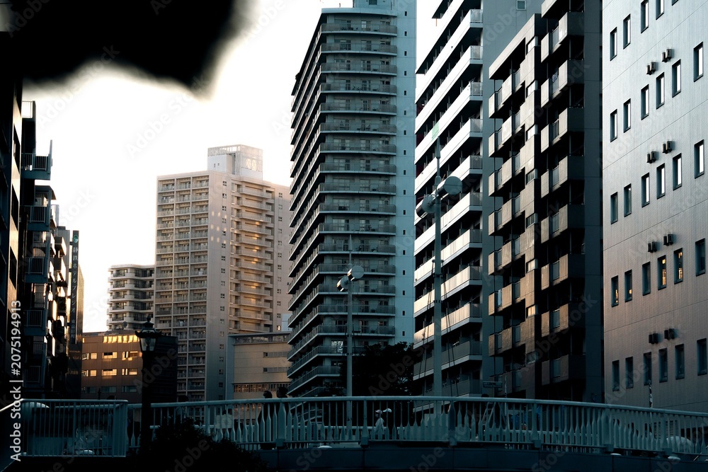 Obraz premium Tokyo residential buildings and bridge at twilight