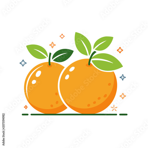 Two fresh oranges with green leaves vector illustration