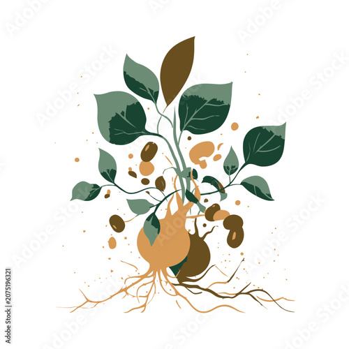 Cuadro en lienzo Flat illustration of a plant with roots and soil nodules