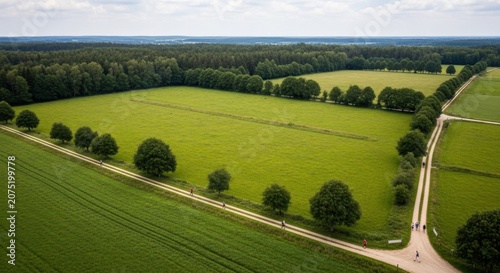 Aerial View of People Hiking on a Rural Countryside Path Through Lush Green Fields and Forests on a Sunny Day