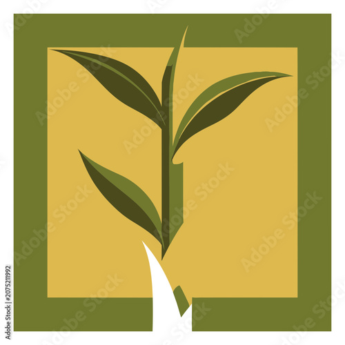 Green plant sprout with leaves vector illustration