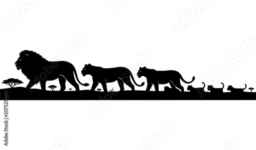 Canvas Print Majestic African lion pride silhouette landscape scene composition vector illust