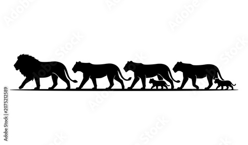 Bild auf Leinwand Silhouette of lion pride walking in African savannah landscape isolated on white