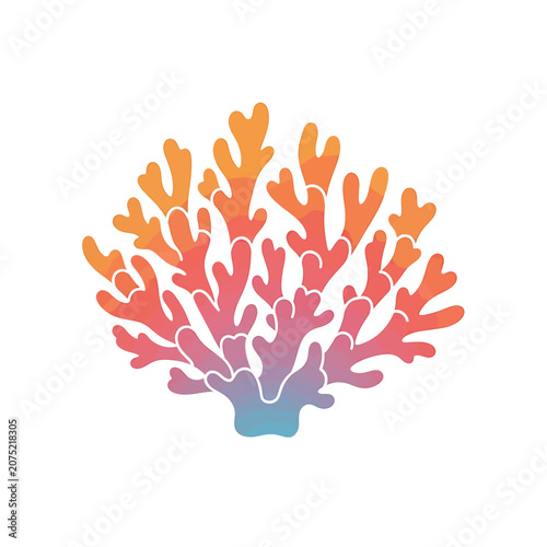 Valokuva Coral Reef Marine Life Illustration.