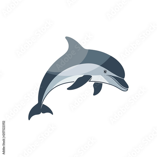 Dolphin swimming in ocean water.