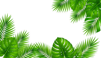 Tropical green leaves corner frame, palm and monstera foliage border, lush summer nature design elements