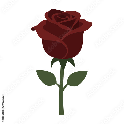 Red rose with stem and leaves vector illustration