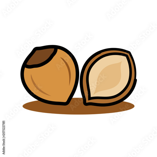 Hazelnut with Shell Flat Vector Illustration