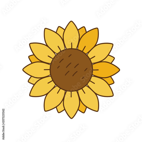 Flat vector illustration of a sunflower
