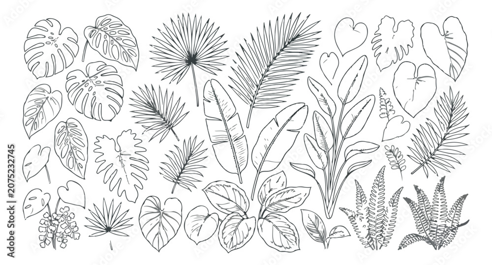 Fototapeta premium Tropical floral arch vector illustration, black and white jungle leaf frame, exotic botanical wedding gateway with monstera and palm foliage