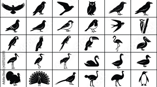 Set of black bird silhouettes on white background collection of various flying and standing bird icons